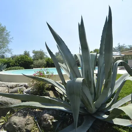 Docciolina Roina
